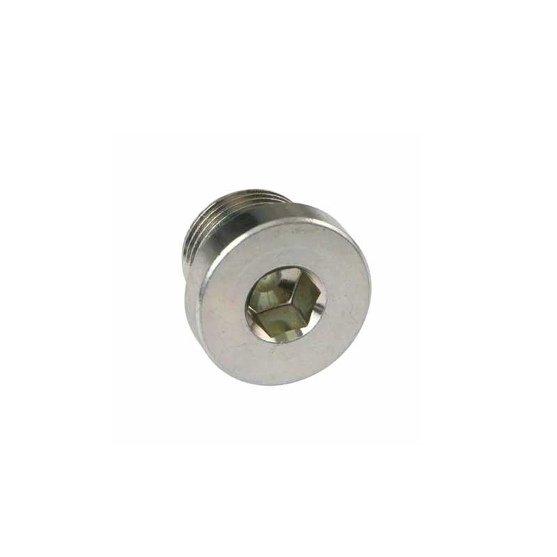 BSP ຊາຍ Captive Seal Plug