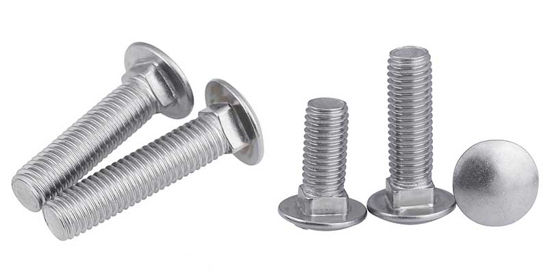 Cup square bolts
