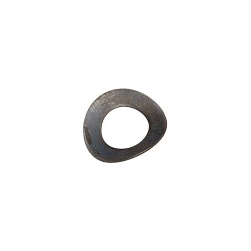 ສະແຕນເລດ Curved Spring Washer